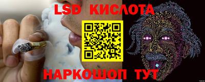 индика Вязьма
