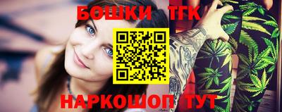 индика Вязьма