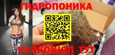 индика Вязьма