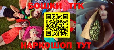 индика Вязьма