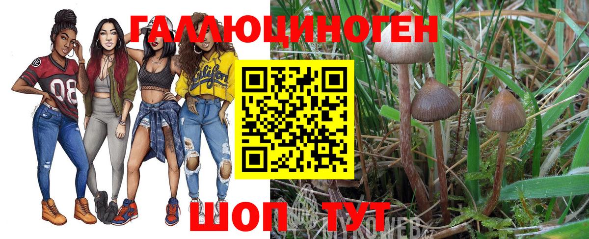Псилоцибиновые грибы Psilocybine cubensis  Вход с VPN  Ноябрьск  Псилоцибиновые грибы Cubensis 