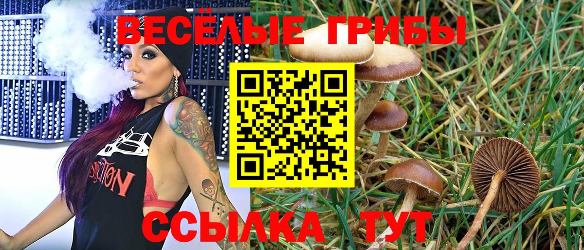Псилоцибиновые грибы Psilocybe Ноябрьск
